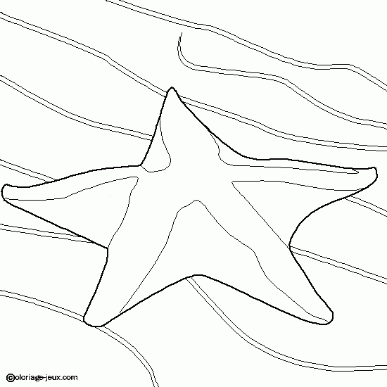 Colorear Una Estrella De Mar Dibujos Verano Y Vacaciones Para