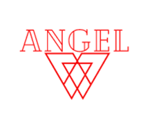 Angel Sample Business Logo