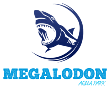 Megalodon