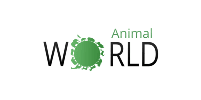 Animal World