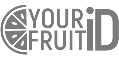 Fruit in