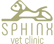 Sphinx Clinic